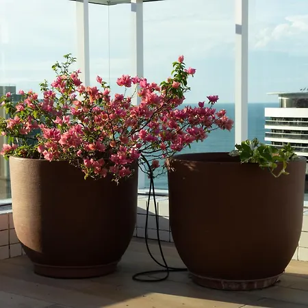 Apto No Cond Infinity 600 Lindo Vista Mar Confortavel Novo, Andar Alto Meirelles Apartamento